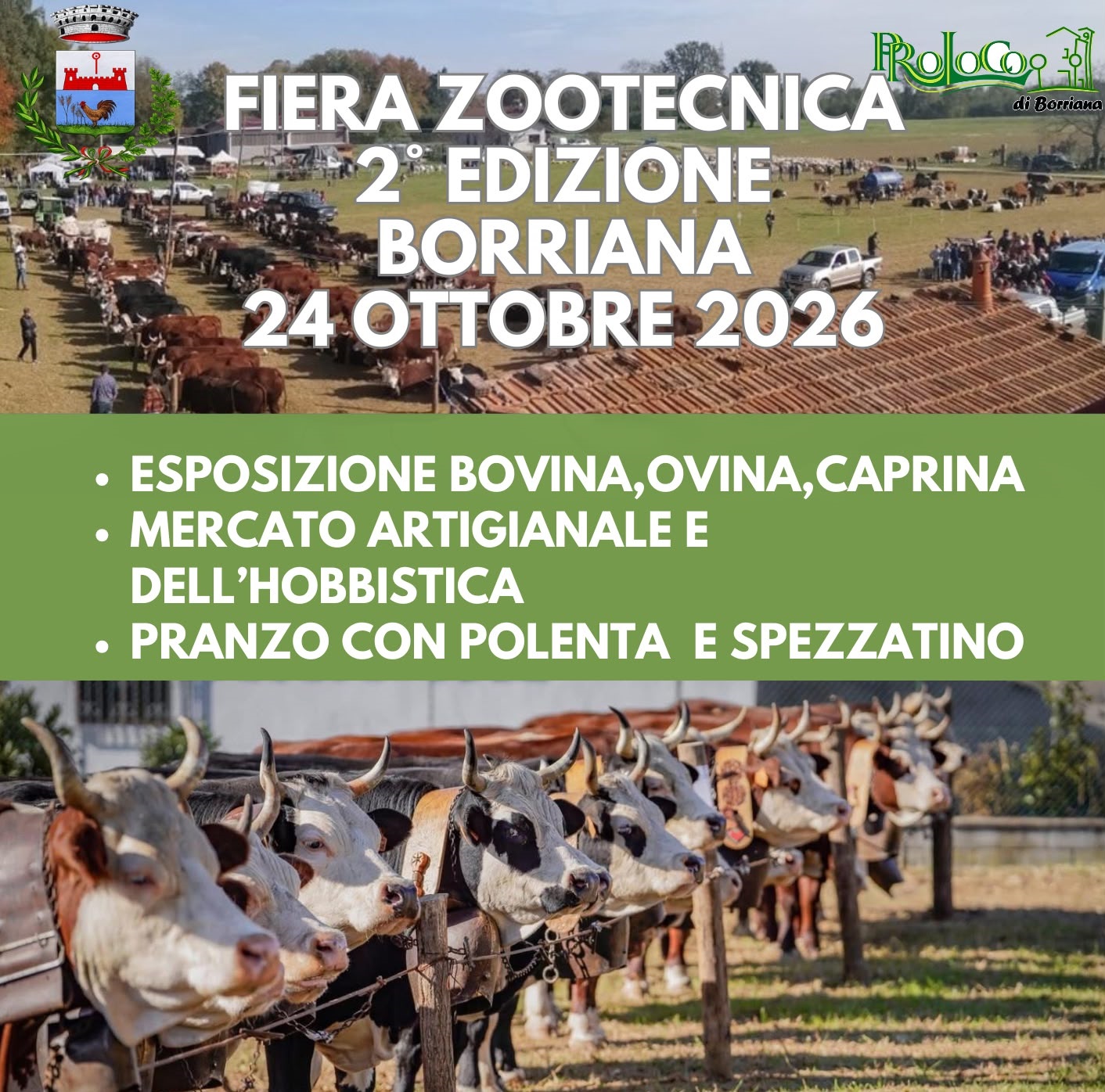 Fiera zootecnica, agricola, dell’artigianato e dei prodotti del territorio.