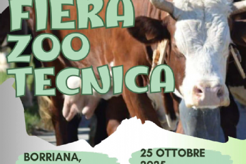 Immagine di bovino