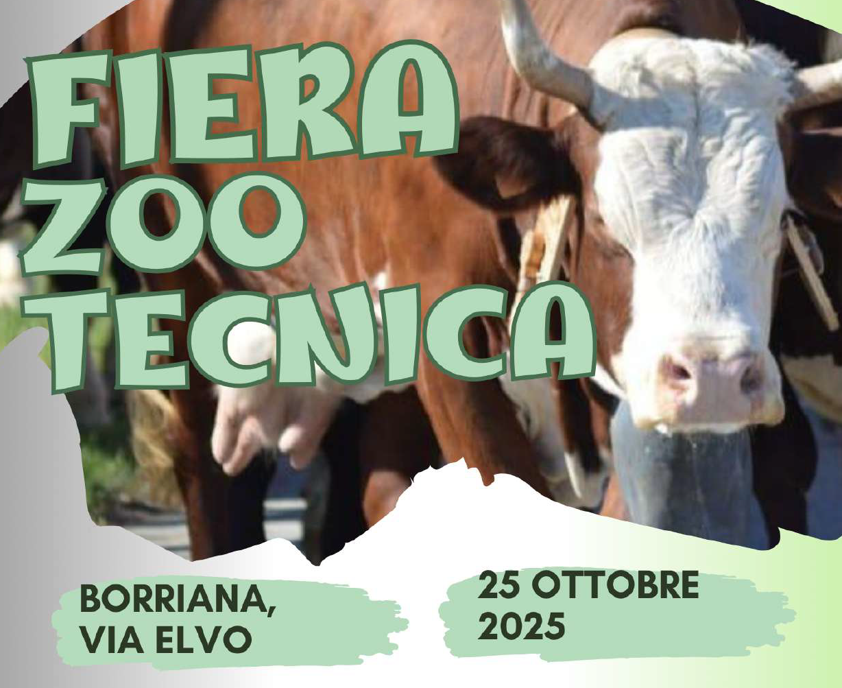 Immagine di bovino
