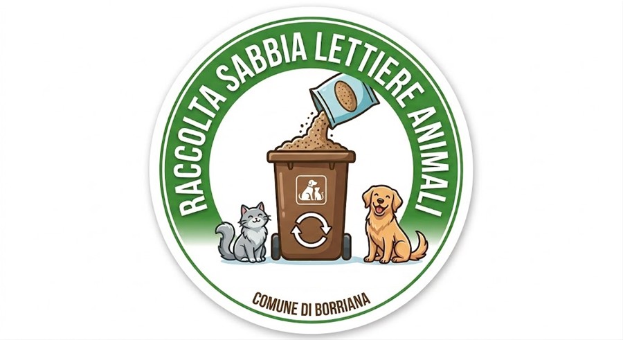 Servizio raccolta sabbia lettiere animali